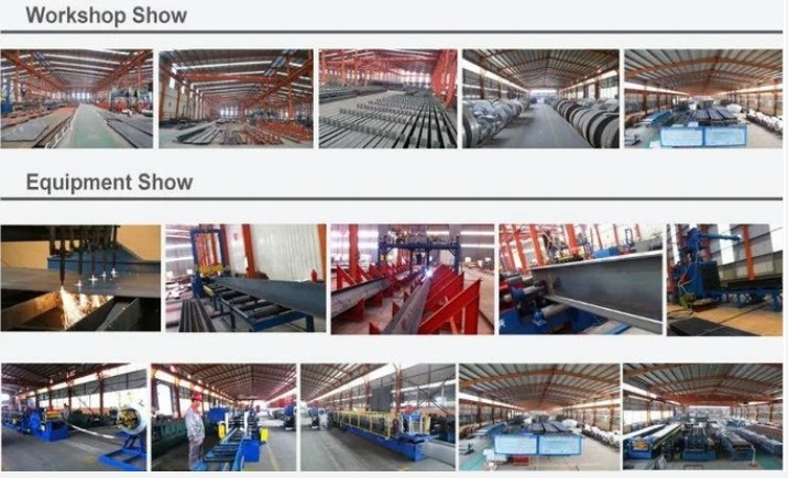 Qingdao Xinguangzheng Husbandry Co.,  Ltd lini produksi pabrik
