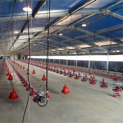 OEM Broiler Floor System 380V Broiler Flat Raising Whole House System