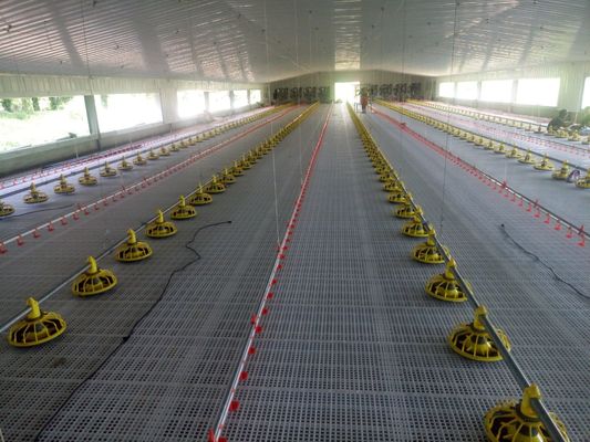 OEM Broiler Floor System 380V Broiler Flat Raising Whole House System