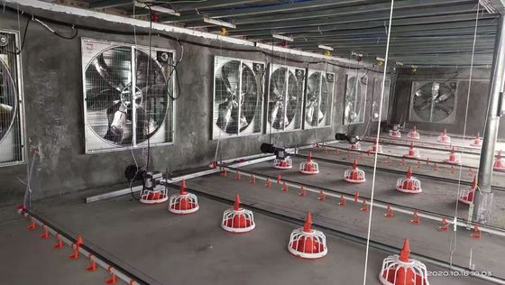 OEM Broiler Floor System 380V Broiler Flat Raising Whole House System