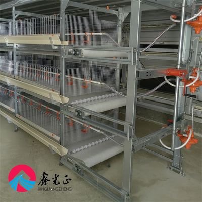 Struktur Baja Prefab Rumah Ayam Dengan Atap Panel Sandwich