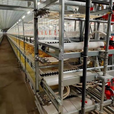 Struktur Baja Peternakan Industri Rumah Pertanian Penggunaan Panel Berwarna