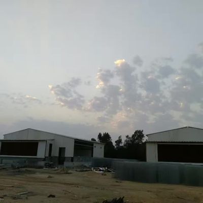 ODM Prefab Metal Warehouse Intelligent Steel Frame Rumah Ayam