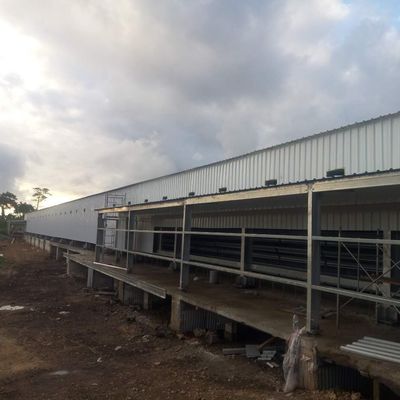 Lembar Galvanis Peternakan Rumah Pertanian Struktur Baja Breeder Rumah Ayam