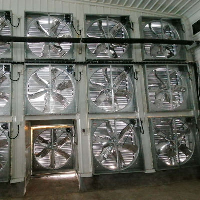 Rumah Unggas Baja dengan Jendela Geser dan Ventilasi