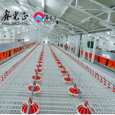 Rumah Pertanian Ternak Prefabrikasi Baja H-Section dengan Insulasi PVC