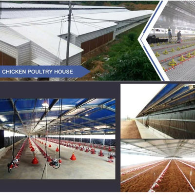 Rumah Pertanian Ternak Prefabrikasi Baja H-Section dengan Insulasi PVC