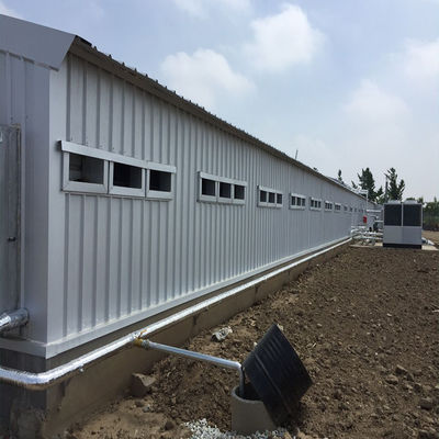 CE Rumah Peternakan Struktur Baja Rumah Ayam Dan Peralatan Untuk Ayam