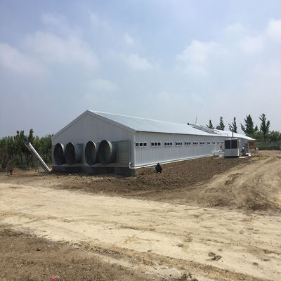 Peternakan Unggas Rumah Ayam Ringan Bangunan Struktur Baja Prefabrikasi