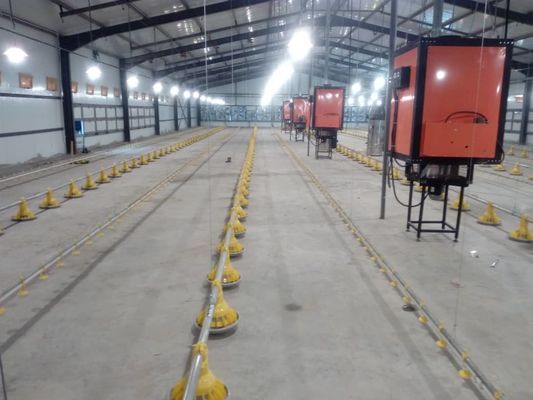 H Bagian Baja Rumah Ayam Komersial Struktur Baja Prefabrikasi