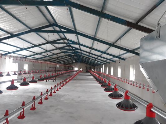H Bagian Baja Rumah Ayam Komersial Struktur Baja Prefabrikasi