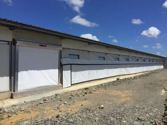 ISO Peternakan Rumah Struktur baja Prefabrikasi Rumah peternakan unggas