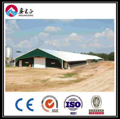 Customized Automatic Broiler Floor Feeding Line System dengan struktur baja rumah ayam