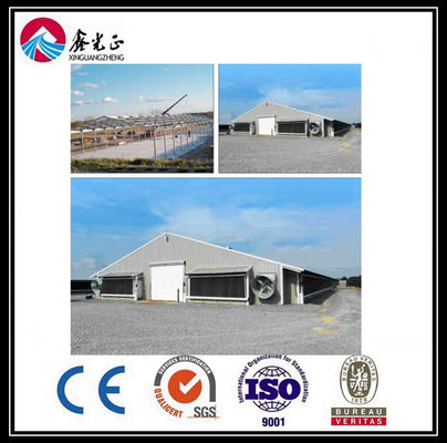 Customized Automatic Broiler Floor Feeding Line System dengan struktur baja rumah ayam