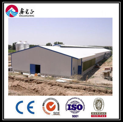Customized Automatic Broiler Floor Feeding Line System dengan struktur baja rumah ayam