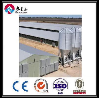 Customized Automatic Broiler Floor Feeding Line System dengan struktur baja rumah ayam