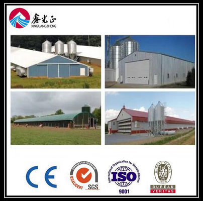 Customized Automatic Broiler Floor Feeding Line System dengan struktur baja rumah ayam