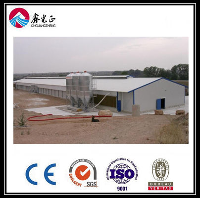 CE Broiler Chicken Cage System Pan Feeding System Untuk Peternakan Unggas