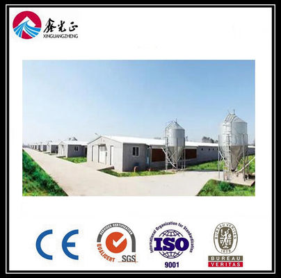 CE Broiler Chicken Cage System Pan Feeding System Untuk Peternakan Unggas