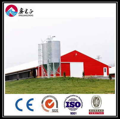 CE Broiler Chicken Cage System Pan Feeding System Untuk Peternakan Unggas