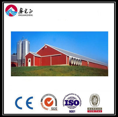 CE Broiler Chicken Cage System Pan Feeding System Untuk Peternakan Unggas