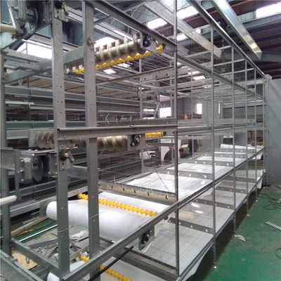 H Frame Cage Design Automatic Broiler Feeding System for Advanced Farms (Desain Kandang Kerangka Sistem Pangan Broiler Otomatis untuk Peternakan Lanjutan)