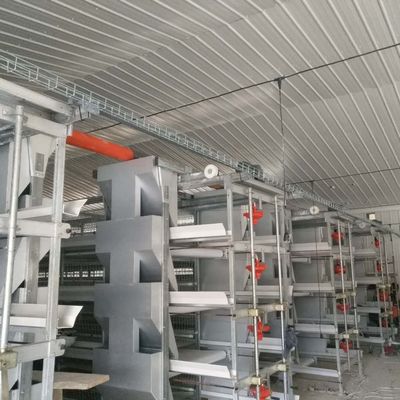 Sistem sangkar ayam broiler besar 230M*56M untuk Negara Asal