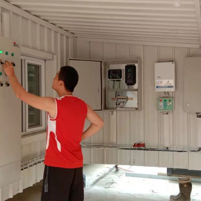 Sistem Pakan Broiler Otomatis Solusi Ideal untuk Peternakan Unggas