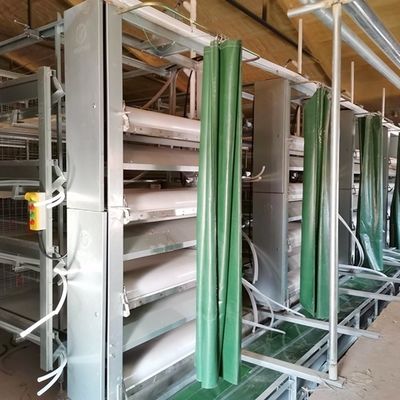 Fleksibilitas Rendah Sistem Kandang Ayam Broiler Desain Yang Elegan Dan Modern