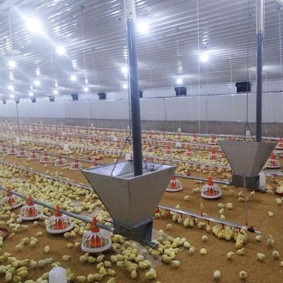 Sistem lantai daging ayam tahan lama dengan ketahanan korosi / bahan plastik