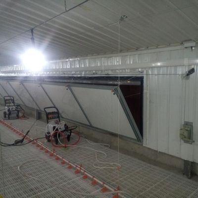 Standar Sistem Lantai Anti-Slip Broiler untuk Kinerja Superior
