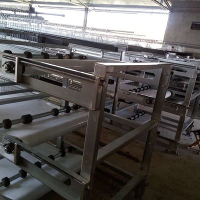 3 Tiers Hot Dip Galvanized Chicken Cage Dengan Automatic Feed