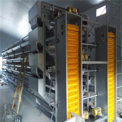 Hot Dip Galvanized Steel Automatic Egg Collection Chicken Cage dengan Sistem Penghapusan Kotoran