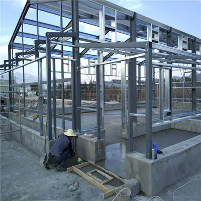 Hot Dip Galvanized Steel Automatic Egg Collection Chicken Cage dengan Sistem Penghapusan Kotoran
