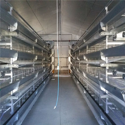 Baja Galvanis Tipe A Pengangkutan Ayam Produksi Telur Untuk Sistem Pakan dan Minuman Otomatis
