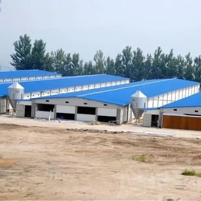 Desain mudah dirakit portabel biaya rendah Rumah unggas Struktur baja
