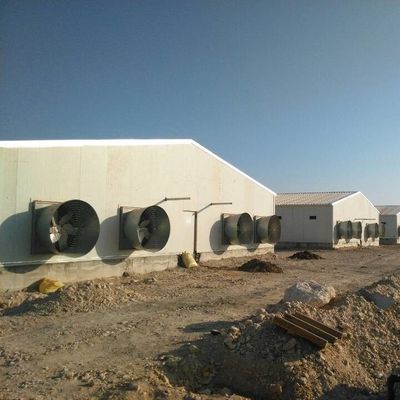 Rumah unggas prefab dengan panel isolasi