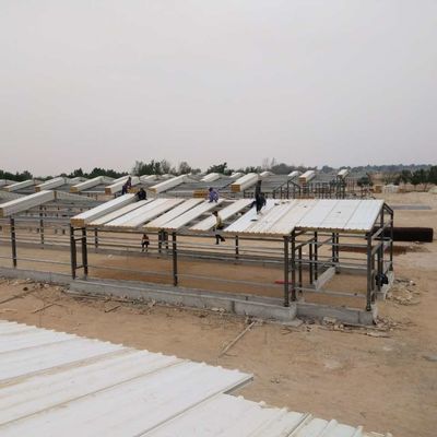 Rumah unggas prefab dengan panel isolasi