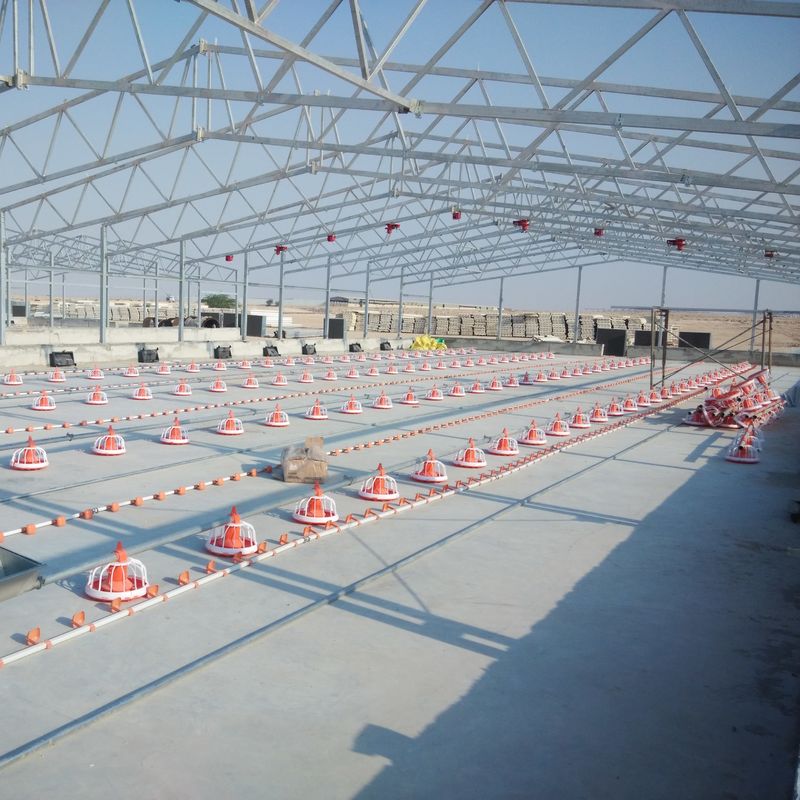 Sistem Lantai Broiler Interlocking untuk Instalasi Mudah Standar Pembersihan Tekanan Tinggi