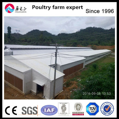 EPS Insulated Chicken Farm House with Aluminum Alloy Windows