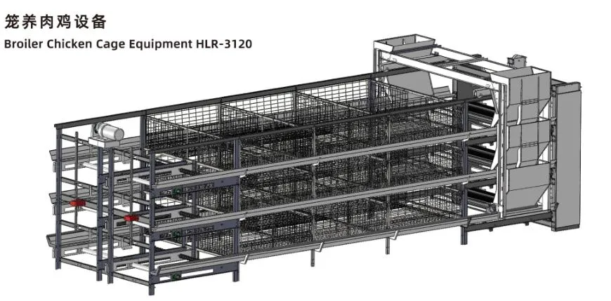 ISO Broiler Chicken Cage System Custom Poultry Broiler Cage Untuk Peternakan Unggas 1